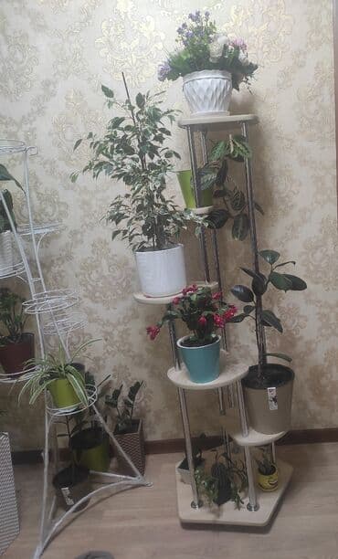 полка для цветок: Цветочные полки, Стеллаж на выбор
Размер и цвета разные — 14