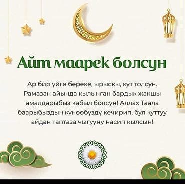 can bus: Пункт назначения: Аэропорт Манас, Количество мест: Другое количество, Лицензия №: 1 — 10