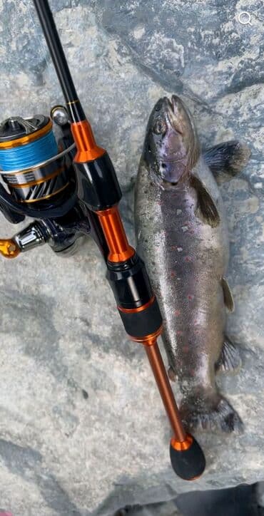 спорт оборудование: СПИННИНГИ Travel Stream и GAD Gancho. Япония Продаю стримовый — 21