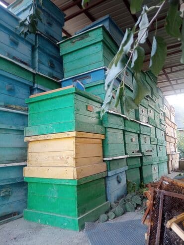 отун кара жыгач: Пчелиные ульи деревянные срочно нужны деньги продаю дешевле - — 2