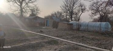 куплю дом в рухий мурас: Дача, 140 м², 4 комнаты, Собственник, Косметический ремонт — 24