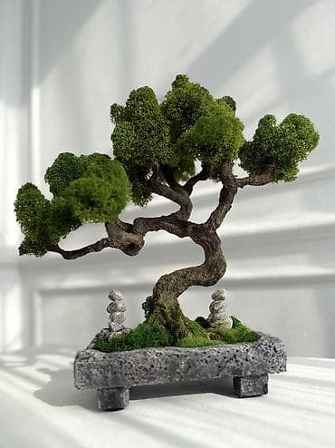 киса: В переводе с японского Бонсай означает «дерево, выращенное в блюде» — 2