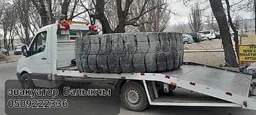 вывоз трупов животных: С лебедкой — 3