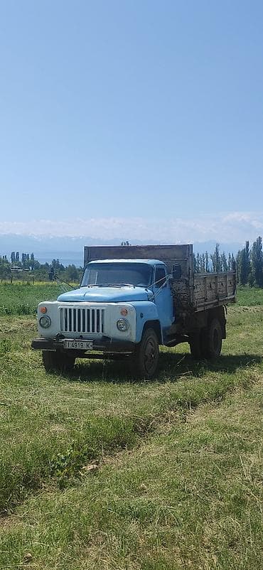 Унаа: ГАЗ GAZel: 1992 г., 4.2 л, Кол менен иштөөчү, Бензин, Roadster — 3