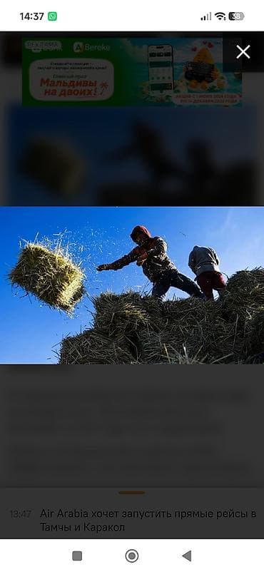 дом модульные: Погрузка выгрузка тюков 20 сом тел 0990230698 — 1