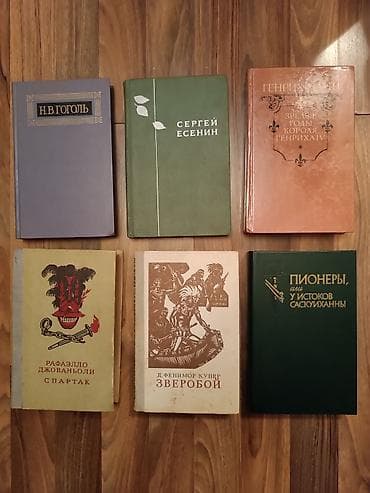 local guide program: Классика, На русском языке, Б/у, Самовывоз — 5