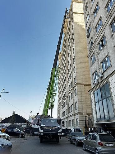 1001 роза: Жаанын 60 м, 50 т — 7