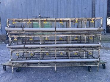 корм для домашних животных: Продаю клетки для несушек многоярусные на 144 штук курей. Размер — 4