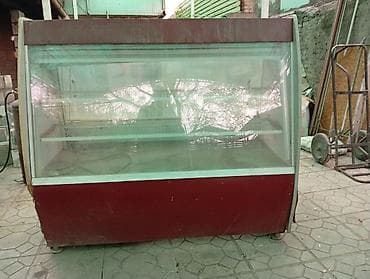 холодильник быу: Для напитков, Для мяса, мясных изделий, Для молочных продуктов — 1