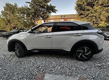 Электрический кроссовер Neto u pro, белый цвет, 5‑дверный, 5 мест