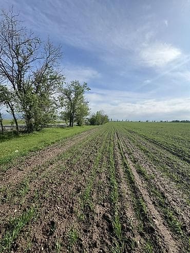 селхоз земли: 500 соток Для сельского хозяйства, Водопровод — 10