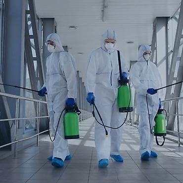Дезинфекция, дезинсекция, | Обработка деревьев, Вирусы, микробы, Клопы, | Дома, Кафе, магазины, Подъезды