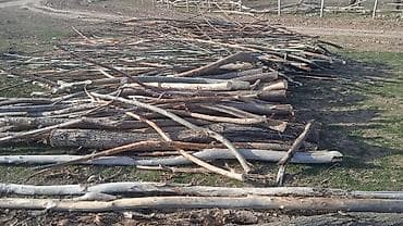 леса бу: Дрова — 2