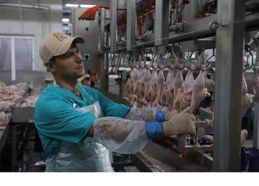 ищу работу охраник: Требуется Упаковщик, Оплата: Дважды в месяц, Без опыта — 2