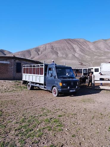 case 580: Грузовик, Mercedes-Benz — 2