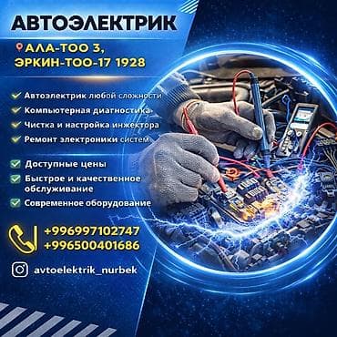 Диагностика и ремонт автоэлектрики Профессиональные услуги