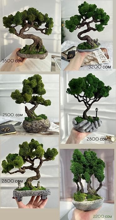 мини аквариум купить: Миниатюрные ДЕРЕВЬЯ Бонсай из стабилизированного мха — это стильная — 3