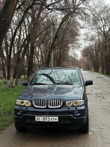 daf 2001: BMW X5: 2005 г., 3 л, Автомат, Дизель, Кроссовер — 1