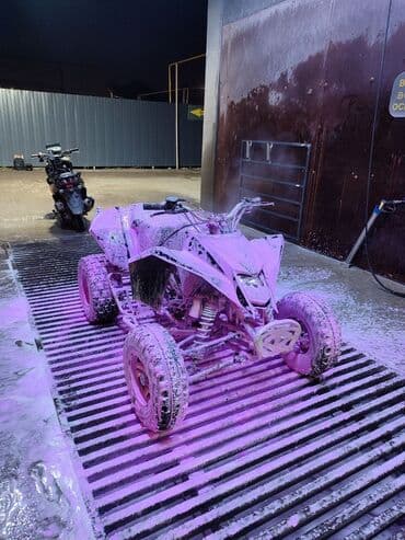 квадроцикл цена детский: Квадроцикл Бензин, 250 куб. см, Чоңдор үчүн — 1