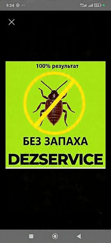 ультразвук от мышей и крыс: Дезинфекция, дезинсекция, | Клопы, Блохи, Тараканы, | Транспорт, Офисы, Квартиры — 1