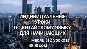 Китайский язык