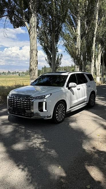 монитор соната дн8: Hyundai Palisade: 2022 г., 3.8 л, Автомат, Бензин, Кроссовер — 2