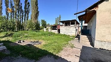 Продажа участков: 24 соток, Для сельского хозяйства, Красная книга, Тех паспорт, Договор купли-продажи — 4