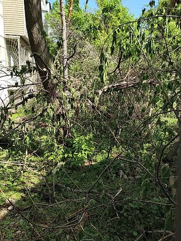 мешок дров: Дрова — 3