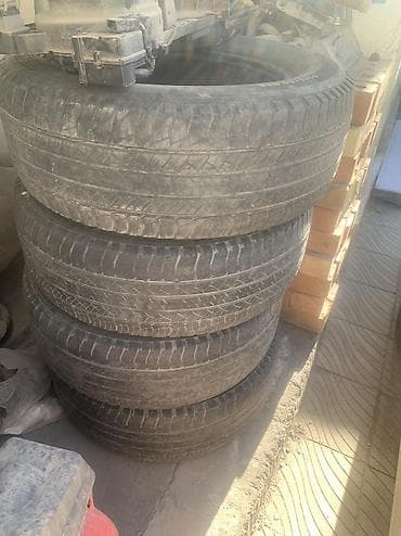шишек: Шины 265 / 60 / R 18, Лето, Б/у, Комплект, Легковые, Michelin — 1