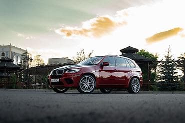 BMW X5 M: 2010 г., 4.4 л, Типтроник, Бензин, Универсал