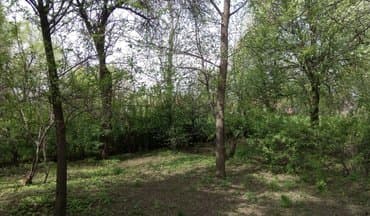 купит дом кара балта: Үй, 50 кв. м, 3 бөлмө, Менчик ээси — 5