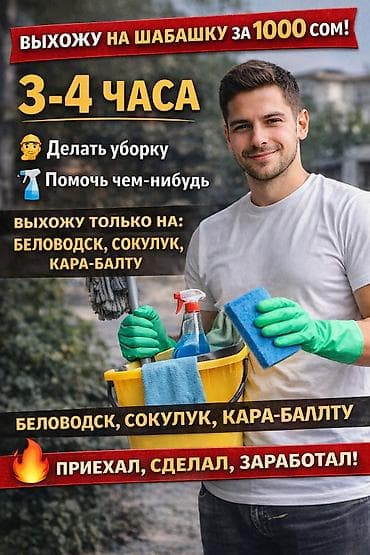 дом на день: Услуги помощника по дому/уборке — 3–4 часа - Выход на шабашку за 1000 — 1