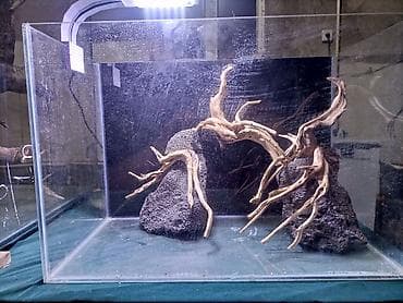 кой коозу: Изготовление аквариумов, флорариумов, палюдариумов, проточных фильтров — 6