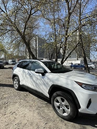 датчик масла: Toyota RAV4: 2019 г., Автомат, Бензин, Кроссовер — 3