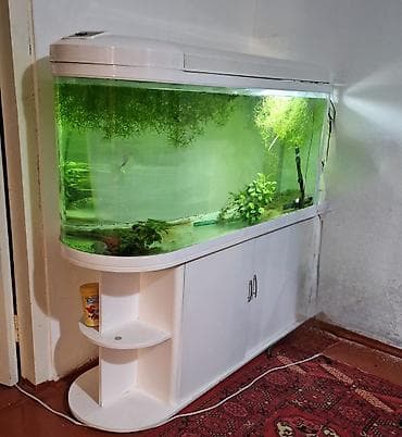 пластмасса ящик: Аквариумный комплект с тумбой и крышкой - Объём: крупный панорамный — 1