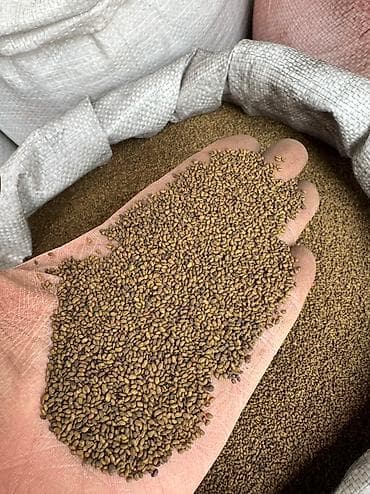 джеа люцерна цена бишкек: Акция Акция 
Оптом люцерна высший сорт !!!
100% гарантия — 2