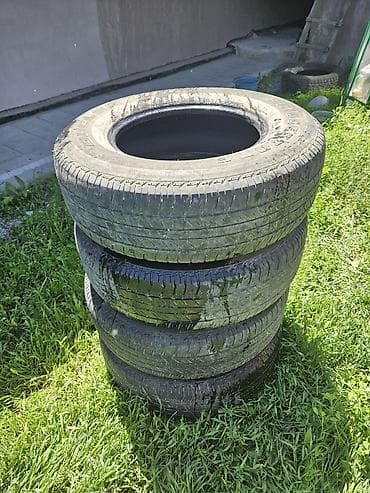 Шины 215 / 65 / R 16, Лето, Комплект, Внедорожные (АТ/МТ), Bridgestone — 2