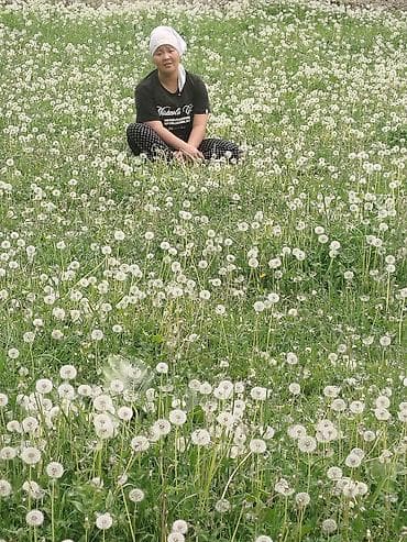 барабан детский: Луг с одуванчиками для фотосессий и отдыха - Просторный зеленый — 1