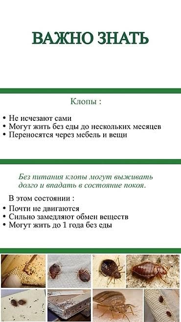 Клининговые услуги: DEZEXPERT — профессиональная обработка от тараканов Что предлагаем: - — 7
