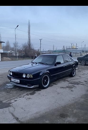 BMW 5 series: 1991 г., 2 л, Механика, Бензин, Седан