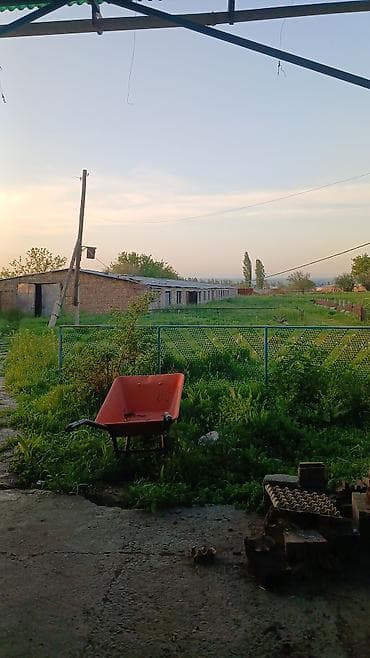 Земельные участки: 90 соток, Для сельского хозяйства, Договор купли-продажи — 2