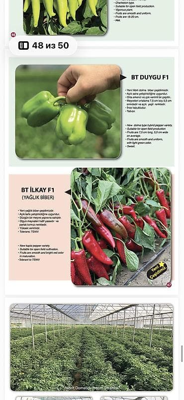 пакеты для вакуматора: Семена Платная доставка — 9