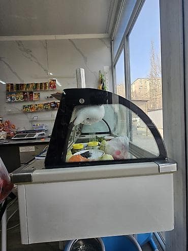 Холодильные витрины: Для молочных продуктов, Для мяса, мясных изделий, Россия, Б/у — 2