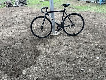 Шоссейный велосипед, Tsunami