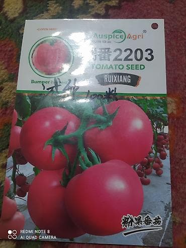 Семена розовых 🍅 5000сом
