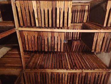 Дом и сад: Продаю сушь. Дадан по 80 сом. Рута по 70 сом. (если выборочно будет — 2