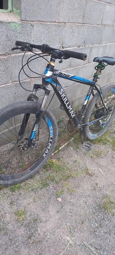 купить турник 3 в 1: Горный велосипед, Skillmax, Алюминий — 9