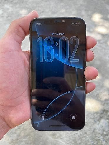 IPhone 12 Pro, Графит — 2