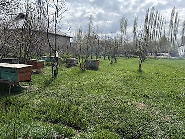 аренда кошара: 8 соток, Для строительства — 2