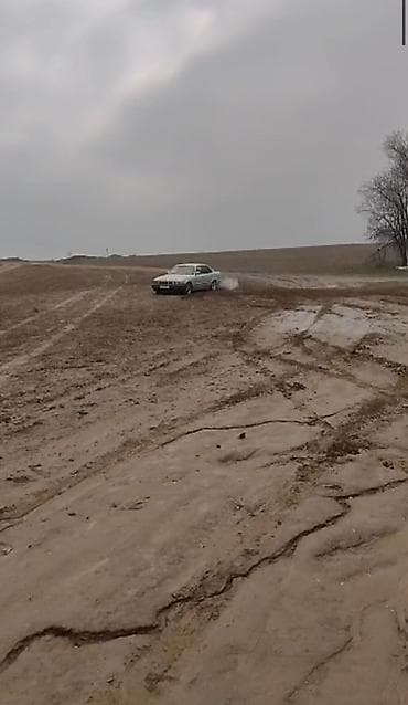 руль e34: BMW 5 series: 1991 г., Седан — 2